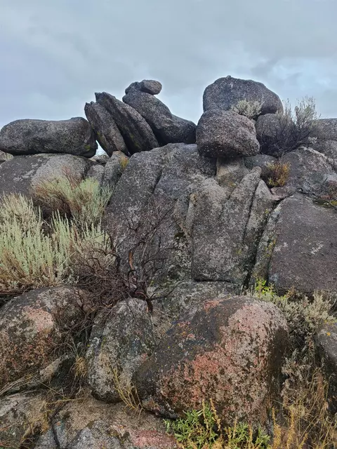414-000 Scott Rd, Doyle, CA 96109 photo 27