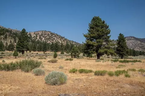 414-000 Scott Rd, Doyle, CA 96109 photo 17