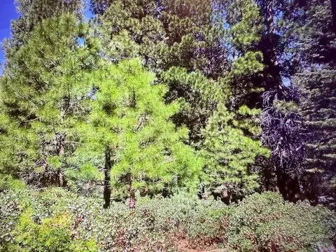 28 Fox Pine Dr, Lake Almanor, CA 96137