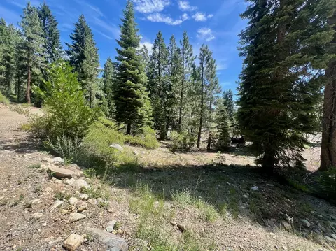 66 Eureka Trl, Johnsville, CA 96103