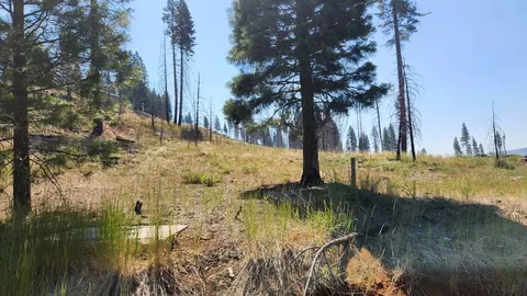 174 Osprey Loop, Lake Almanor West, CA 96020