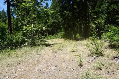 59555 Highway 70, Cromberg, CA 96103 photo 7
