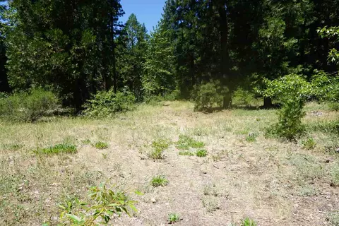 59555 Highway 70, Cromberg, CA 96103 photo 3