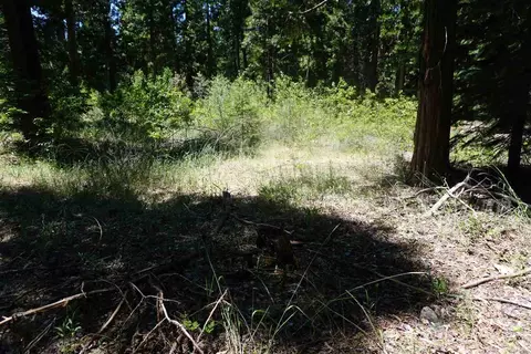 59555 Highway 70, Cromberg, CA 96103 photo 4