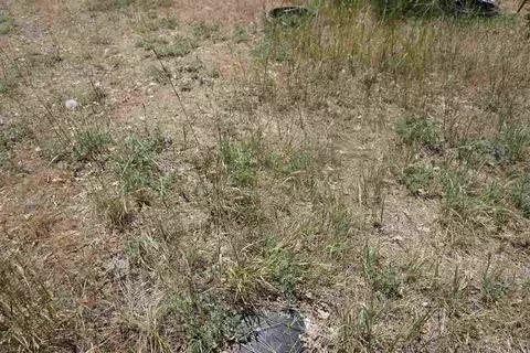 59555 Highway 70, Cromberg, CA 96103 photo 6