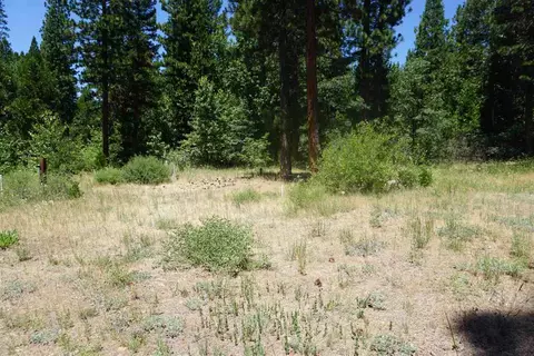 59555 Highway 70, Cromberg, CA 96103 photo 5