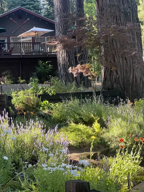 2723 Big Springs Rd, Hamilton Branch, CA 96137