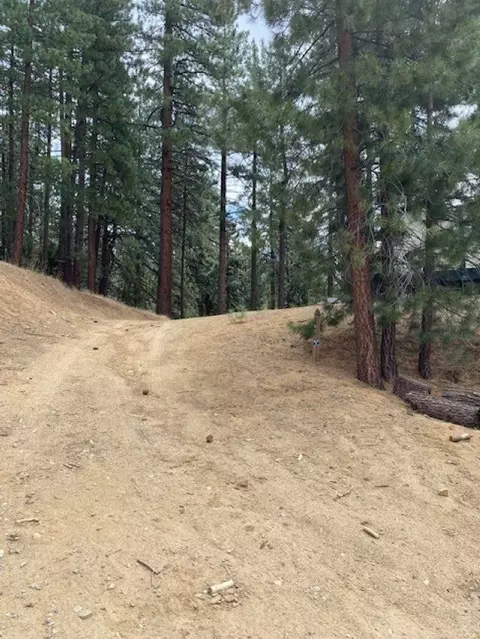 1070 Buckskin Ln, Portola, CA 96122