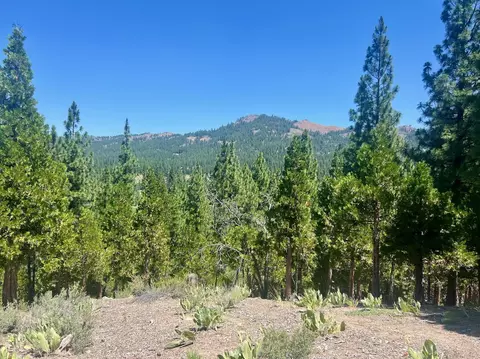 1924 Grizzly Ranch Rd, Portola, CA 96122