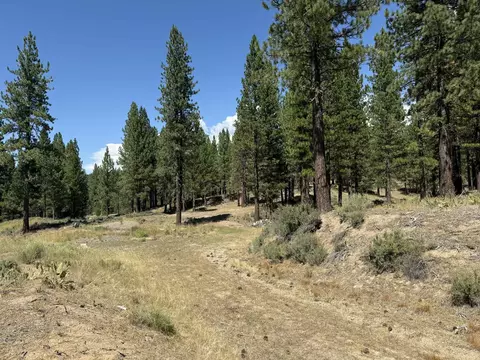 1359 Valley Ranch Dr, Clio, CA 96106