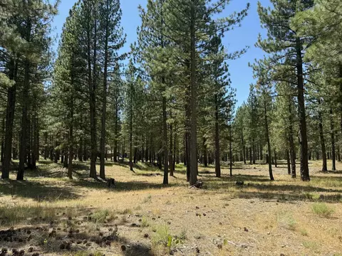 1269 Valley Ranch Dr, Clio, CA 96103