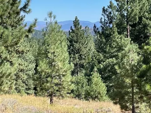 1725 Grizzly Rd, Portola, CA 96122