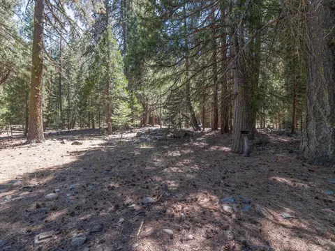 7 Yokut Trl, Graeagle, CA 96103 photo 27