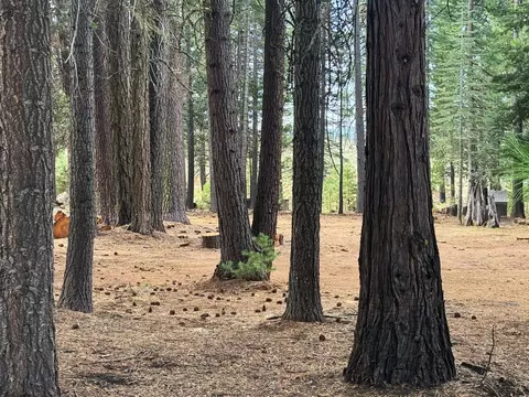 332 Osprey Loop, Chester, CA 96020 photo 2