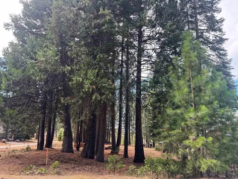 332 Osprey Loop, Chester, CA 96020 photo 1