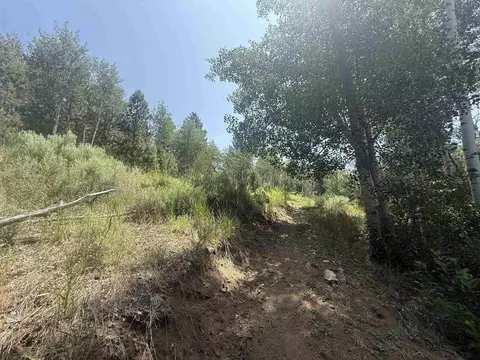 1585 Crocker Ct, Portola, CA 96122