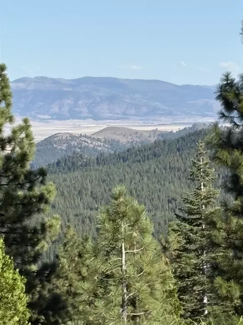 6050 W Bitterbrush Rd, Blairsden Graeagle, CA 96103