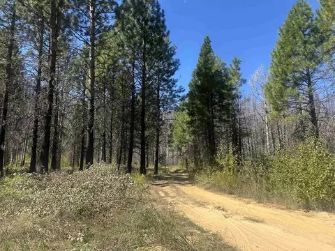 319 Round Valley Rd, Greenville, CA 95947