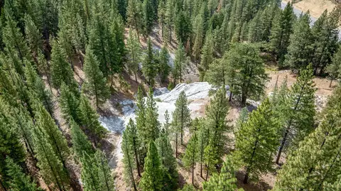 460 Cottontail Rd, Clio, CA 96103 photo 14