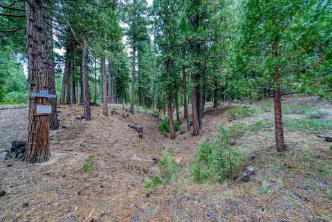 460 Cottontail Rd, Clio, CA 96103 photo 31