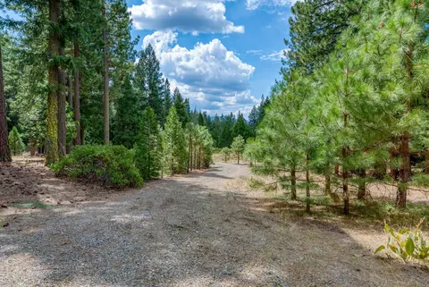 460 Cottontail Rd, Clio, CA 96103 photo 38