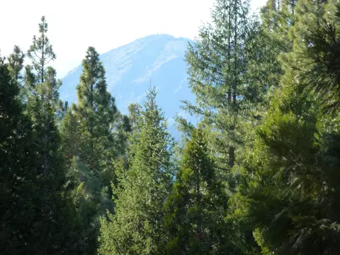 460 Cottontail Rd, Clio, CA 96103 photo 27