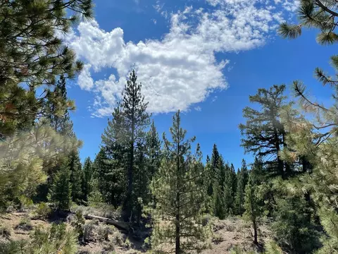 460 Cottontail Rd, Clio, CA 96103 photo 15