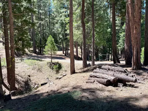 460 Cottontail Rd, Clio, CA 96103 photo 20