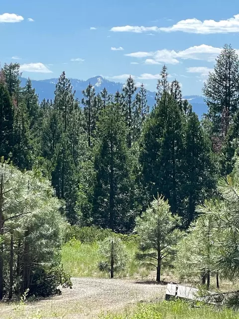 460 Cottontail Rd, Clio, CA 96103 photo 19