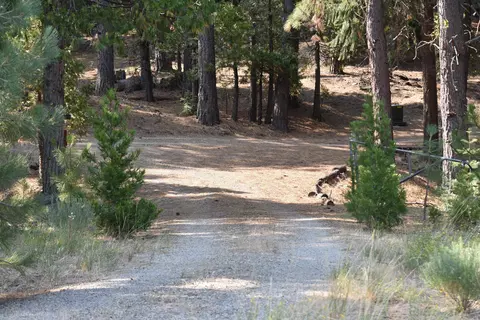 460 Cottontail Rd, Clio, CA 96103 photo 18