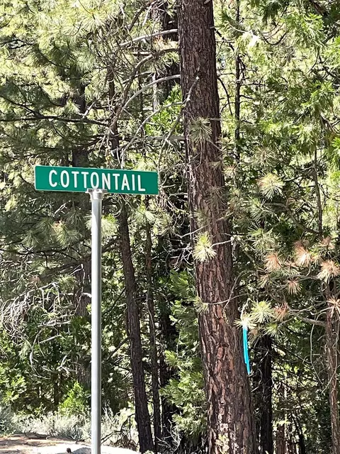 460 Cottontail Rd, Clio, CA 96103 photo 16