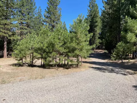 460 Cottontail Rd, Clio, CA 96103 photo 23
