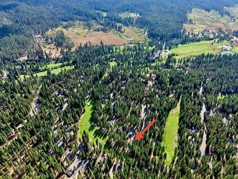 View/Area - 148 Black Bear Trl, Clio, CA 96106 photo 1 of 1