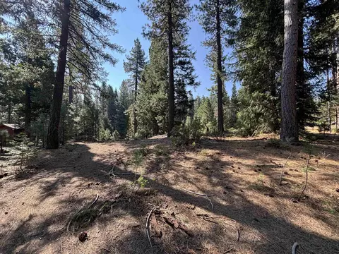 86 Eureka Springs Dr, Blairsden, CA 96103 photo 3