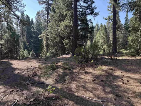 86 Eureka Springs Dr, Blairsden, CA 96103 photo 2