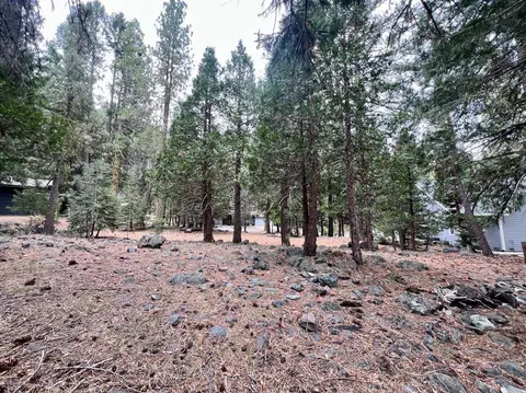 61 Paiute Trl, Graeagle, CA 96103 photo 8