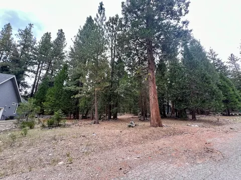 61 Paiute Trl, Graeagle, CA 96103 photo 5