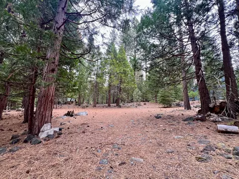 61 Paiute Trl, Graeagle, CA 96103 photo 6