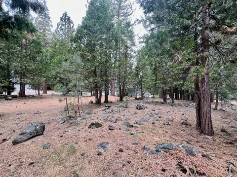 61 Paiute Trl, Graeagle, CA 96103 photo 9