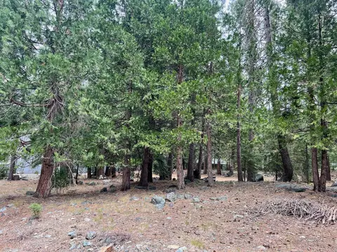 61 Paiute Trl, Graeagle, CA 96103 photo 3