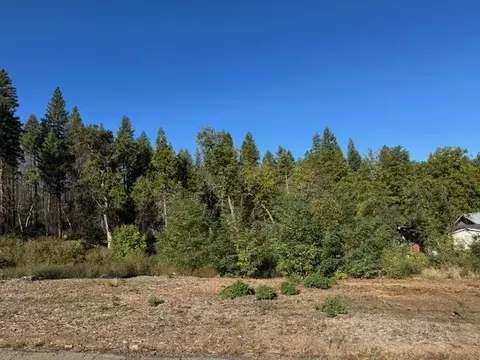 171 Standart Mine Rd, Greenville, CA 95947
