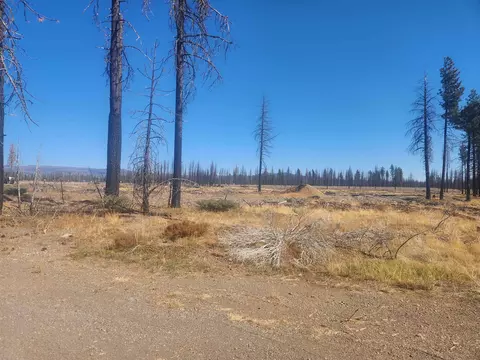 42339 Highway 89, Chester, CA 96020