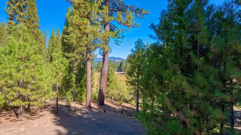 30 Nuthatch St, Clio, CA 96106 photo 33