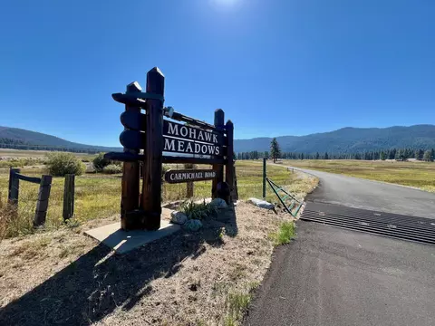 30 Nuthatch St, Clio, CA 96106 photo 41
