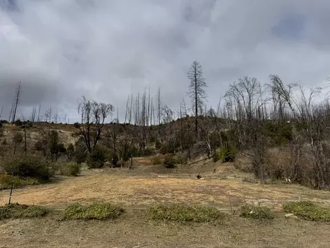 630 Main St, Greenville, CA 95947