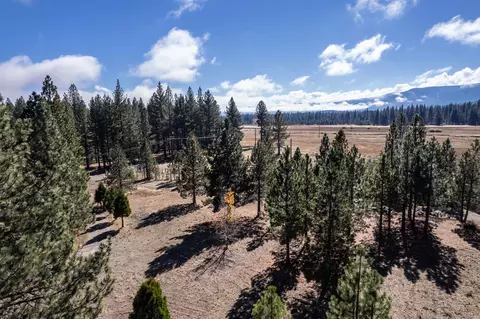 240 Meadow Ranch Rd, Calpine, CA 96124 photo 15