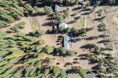 240 Meadow Ranch Rd, Calpine, CA 96124 photo 36