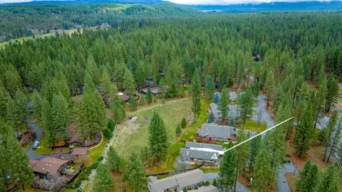 View/Area - 143 Graeagle Meadows Ln, Graeagle, CA 96103 photo 7 of 7