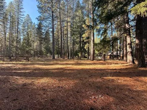 578 Pineleaf Dr, Meadow Valley, CA 95956 photo 38