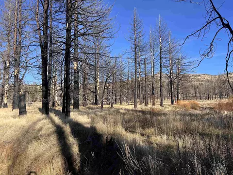 10069 Dixie Valley Rd, Chilcoot, CA 96105 photo 10